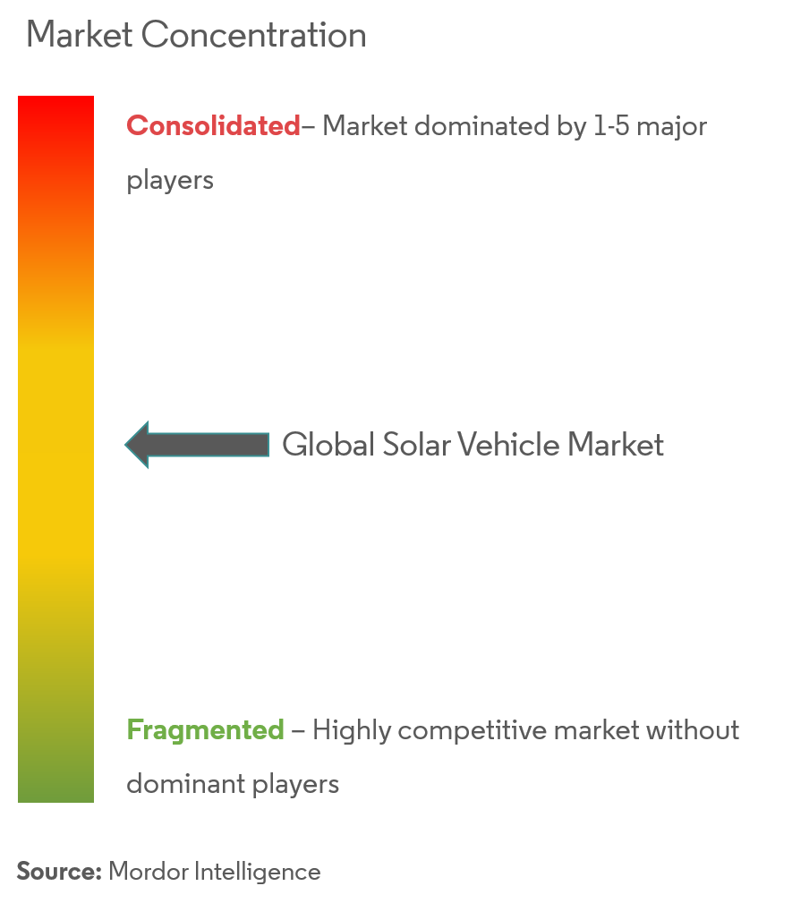 Solar Vehicle Market Concentration